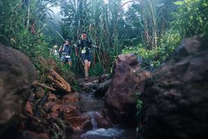 BIB: 
                            <button type="button" onclick="openModal(26420898)" class="btn btn-primary btn-sm float-right btn-popup" data-toggle="modal" data-target=".modal-high-quality">
                        <i class="fas fa-shopping-cart"></i> Add to Cart
                    </button>
                                            <button type="button" onclick="isThisMe(26420898, true)" class="btn btn-success btn-sm float-right btn-popup btn-isme hidden" data-toggle="tooltip" data-placement="bottom" title="นี่คือรูปของคุณใช่ไหม คลิกที่นี่เพื่อเอาเข้าอัลบั้ม">
                        <i class="fas fa-plus"></i> Add to album
                    </button>
                    <button type="button" onclick="isThisMe(26420898, false)" class="btn btn-warning btn-sm float-right btn-popup btn-isnotme hidden">
                        <i class="fas fa-ban"></i> Remove from album
                    </button>